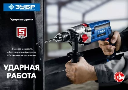 Дрель ударная двухскоростная ДУ-П850-2 ЭРМ серия ПРОФЕССИОНАЛ купить в Когалыме