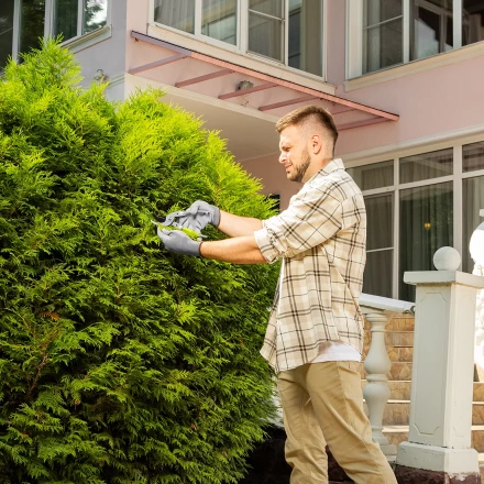 Секатор прямого реза Сибртех, 225 мм, металлические рукоятки, нижняя в ПВХ-оболочке, 604695 купить в Когалыме