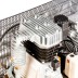 Компрессор масляный Denzel DR5500/300 ременный 58069 купить в Когалыме