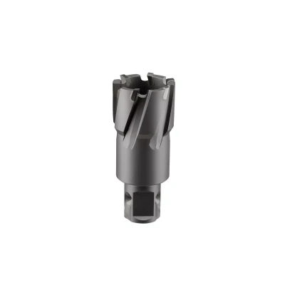 Сверло корончатое твердосплавное ALTECO TCT 20х35 82774