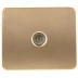 Розетка СВЕТОЗАР "ГАММА" телевизионная, без вставки и рамки, цвет золотой металлик SV-54115-GM купить в Когалыме