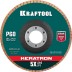 Круги лепестковые керамические торцевые 36598-125-60 купить в Когалыме