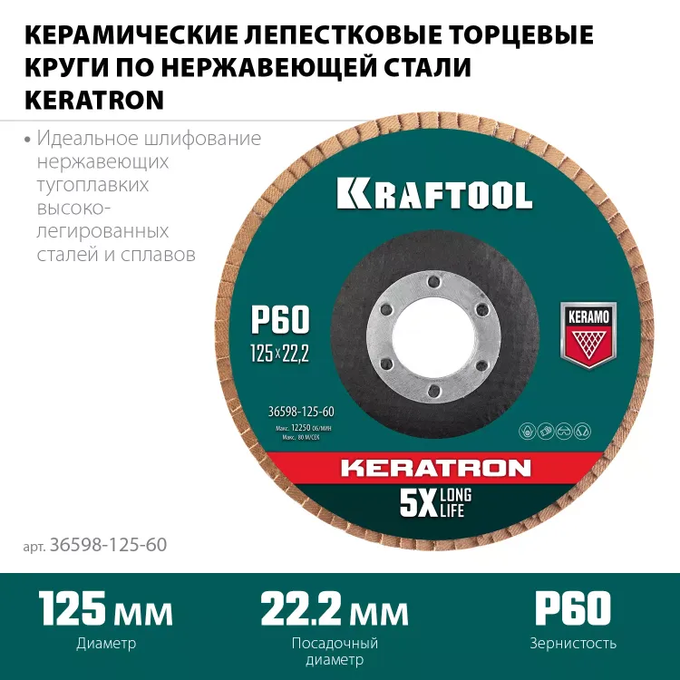Круги лепестковые керамические торцевые 36598-125-60 купить в Когалыме