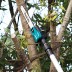 Аккумуляторная 40v XGT цепная пила с телескопической штангой Makita UA004GZ (без АКБ и ЗУ) купить в Когалыме
