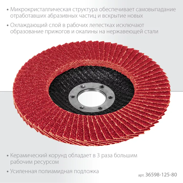 Круги лепестковые керамические торцевые 36598-125-80 купить в Когалыме