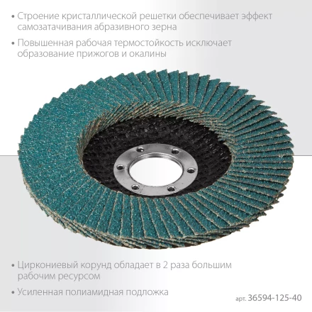 Круги лепестковые циркониевые торцевые 36594-125-40 купить в Когалыме