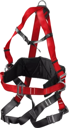 Удерживающая привязь 3 точки крепления серия Без серии купить в Когалыме