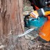 Аккумуляторная цепная пила 40v, шина 45см, регул. без ключа Makita UC017GZ01 (без АКБ и ЗУ) купить в Когалыме