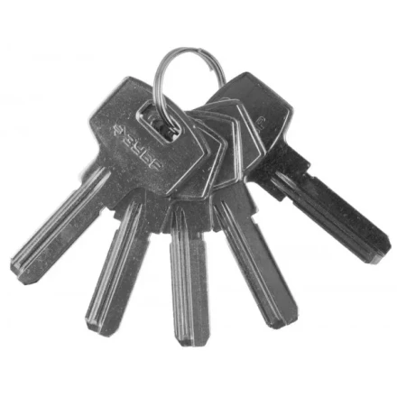 Заготовка ключа ЗУБР "ЭКСПЕРТ" для цилиндровых механизмов, компьютерный тип, 5 шт. 52196_z01 купить в Когалыме