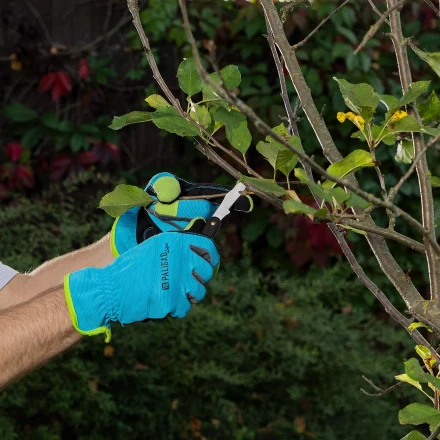 Нож садовый Palisad, 165 мм, складной, окулировочный, пластиковая рукоятка, 790547 купить в Когалыме