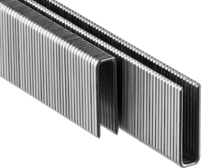 Скобы тип 55, 20 мм, особотвердые, ЗУБР "ПРОФЕССИОНАЛ" 31855-20, 2500 шт 31855-20 купить в Когалыме