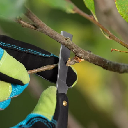 Нож садовый Palisad, 165 мм, складной, копулировочный, пластиковая рукоятка, 790557 купить в Когалыме