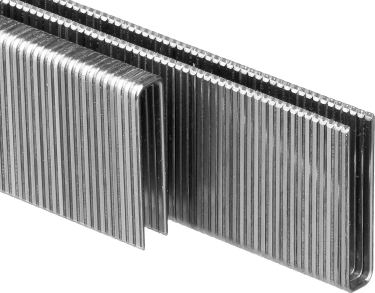 Скобы тип 55, 25 мм, особотвердые, ЗУБР "ПРОФЕССИОНАЛ" 31855-25, 2500 шт 31855-25 купить в Когалыме