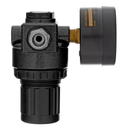 Регулятор давления с манометром Denzel R1500, 12 бар, 1/4", 57491 купить в Когалыме