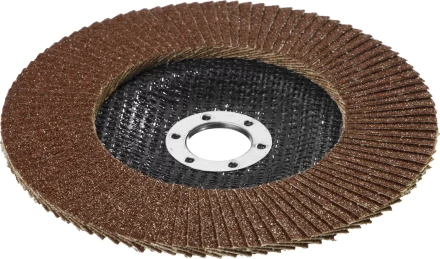 Круг шлифовальный STAYER "PROFI" лепестковый торцевой, зерно-электрокорунд нормальный, тип КЛТ 1, P40, 125х22,2мм 36581-125-040 купить в Когалыме