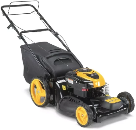 Бензиновая газонокосилка Partner P53-625DW купить в Когалыме