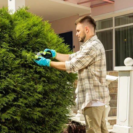 Секатор прямого реза Palisad, 190 мм, пластиковые рукоятки, 60456 купить в Когалыме