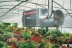 Подвесной дизельный теплогенератор BALLU FARM 65 M oil купить в Когалыме