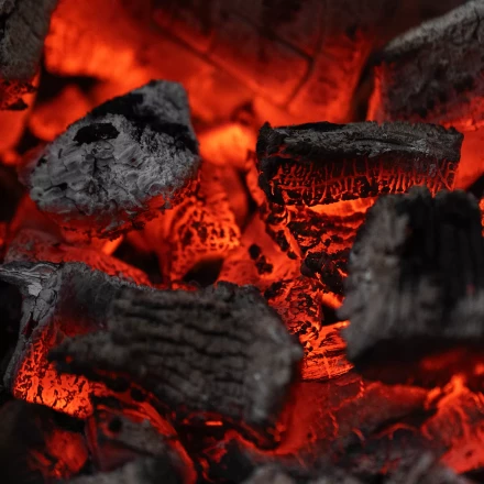 Уголь берёзовый, 5 кг Россия Camping Palisad 69662 купить в Когалыме