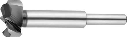 Сверло Форстнера по дереву, URAGAN 29995-25, d=25мм 29995-25 купить в Когалыме