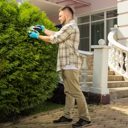 Секатор прямого реза Palisad, 210 мм, пластиковые рукоятки, 60466 купить в Когалыме