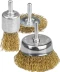 STAYER "PROFESSIONAL". Набор щеток-крацовок для дрели, витая стальная латунированная проволока 0,3мм, диск. 50мм, чаш. 50мм, кистевая 25мм, 3шт 35152-H3_z01 купить в Когалыме