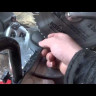 Пила торцовочная ELITECH ПТ 1221 (E2007.003.00) купить в Когалыме