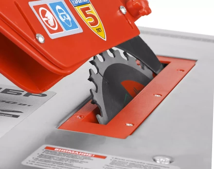 Станок распиловочный ЗПДС-200-800 серия МАСТЕР купить в Когалыме