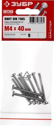 Винты DIN 7985 пакет серия МАСТЕР купить в Когалыме