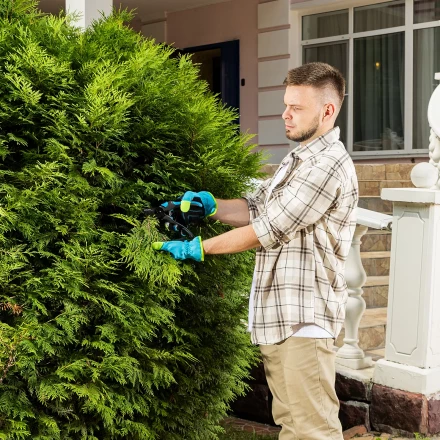 Секатор прямого реза Palisad 215 мм, двухкомпонентные рукоятки, Luxe 604775 купить в Когалыме