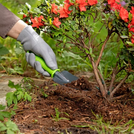 Совок узкий, защитное покрытие, пластиковая рукоятка Palisad 626528 купить в Когалыме