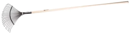 Грабли ЗУБР "ЭКСПЕРТ" веерные из нержавеющей стали, деревянный черенок из ясеня, 16 круглых зубцов, 440х360х1735мм 4-39451_z01 купить в Когалыме