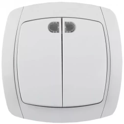 Выключатель СВЕТОЗАР "CITY LIGHT" двухклавишный в сборе, с подсветкой, белый, 10А/~250В SV-54235-W