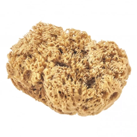 Губка натуральная для декоративных покрытий Matrix 86817 купить в Когалыме