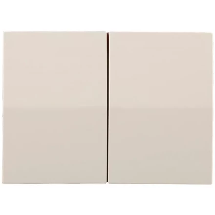 Выключатель СВЕТОЗАР "ЭФФЕКТ" двухклавишный, без вставки и рамки, цвет бежевый, 10A/~250B SV-54434-B купить в Когалыме