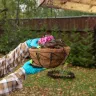 Кашпо подвесное с орнаментом Palisad, с кокосовой корзиной, диаметр 30 см, 690048 купить в Когалыме