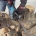 Пила цепная Makita UC3041A купить в Когалыме