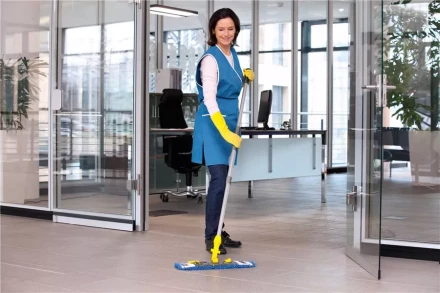 Средство для чистки поверхностей CA 30 C 1 л KARCHER купить в Когалыме