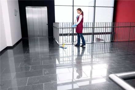 Средство для чистки поверхностей CA 30 C 1 л KARCHER купить в Когалыме