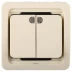 Выключатель СВЕТОЗАР "ГАММА" двухклавишный, с подсветкой, цвет бежевый, 10А/~250В SV-54135-B купить в Когалыме