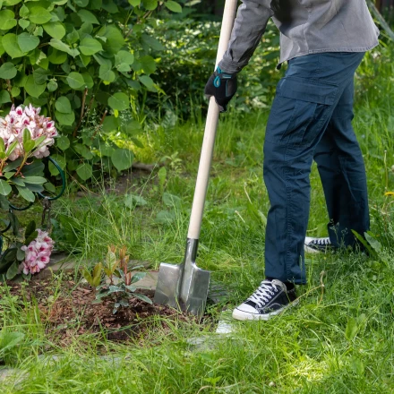 Лопата штыковая, нержавеющая сталь Сибртех, 200х265 мм, ребра жесткости, без черенка, Россия 614375 купить в Когалыме
