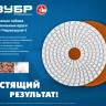 ЗУБР 100 мм, №100, мокрое шлифование, алмазный гибкий шлифовальный круг АГШК, Профессионал (29866-100) купить в Когалыме