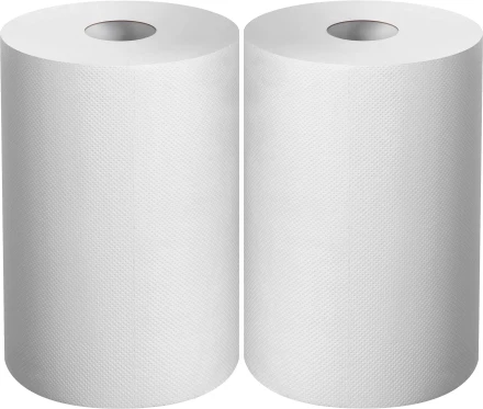 ЗУБР 20 х 25 см, 2-х слойная, в рулоне, 400 листов, 2 рулона, протирочная бумага, Профессионал (12822-20) купить в Когалыме