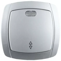 Выключатель СВЕТОЗАР "АКЦЕНТ" проходной одноклавишный в сборе, с подсветкой, цвет серебристый металлик, 10А/~250В SV-54238-SM