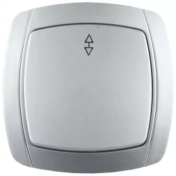 Выключатель СВЕТОЗАР "АКЦЕНТ" проходной одноклавишный в сборе, цвет серебристый металлик, 10А/~250В SV-54237-SM