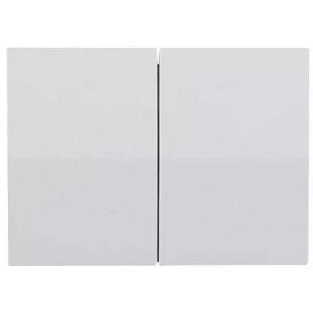 Выключатель СВЕТОЗАР "ЭФФЕКТ" двухклавишный, без вставки и рамки, цвет светло-серый металлик, 10A/~250B SV-54434-SM купить в Когалыме