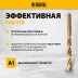Набор сверл по металлу Denzel 723008, 1-10 мм, Р6М5К8-TiN, Golden Tip, 19 шт купить в Когалыме