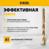 Набор сверл по металлу Denzel 723008, 1-10 мм, Р6М5К8-TiN, Golden Tip, 19 шт купить в Когалыме